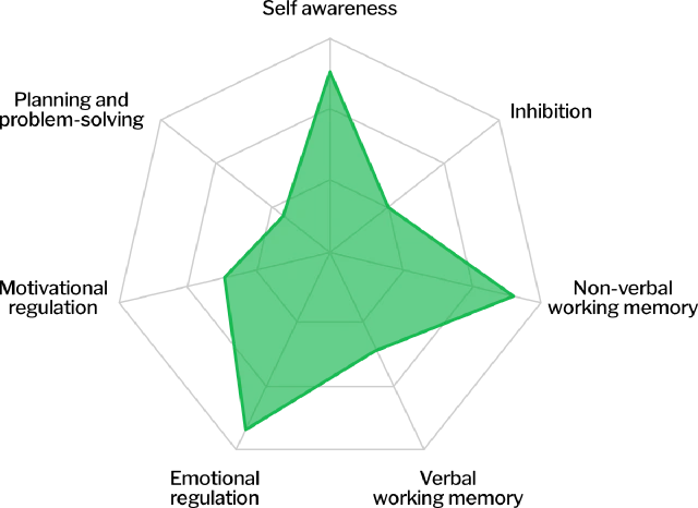 radar chart of executive functions